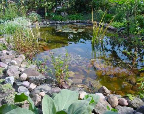 Teich